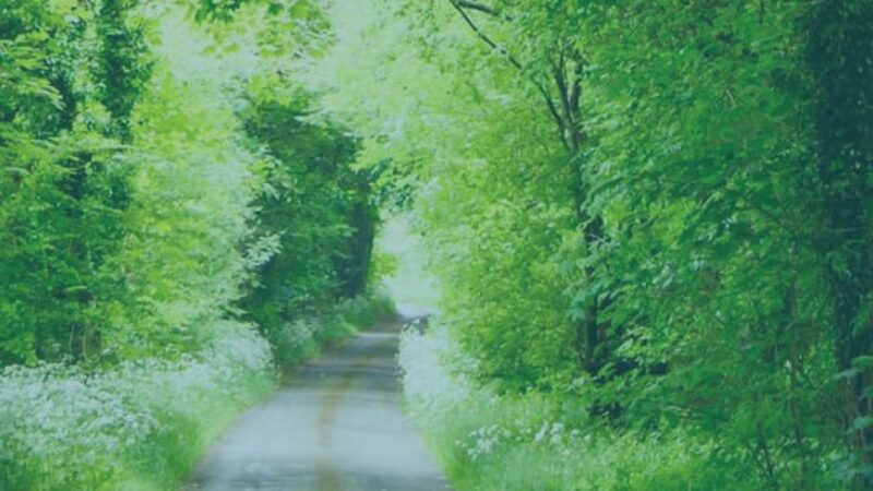An end of life doula service is availble to people living in Kingston and Richmond