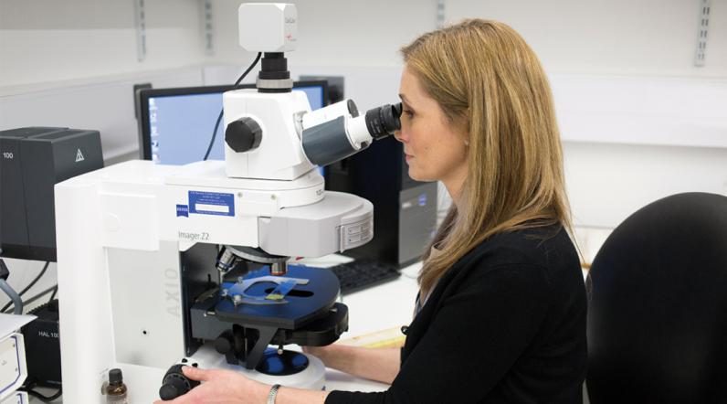 A clinician looking into a microscope to study a patient’s test to diagnose their condition