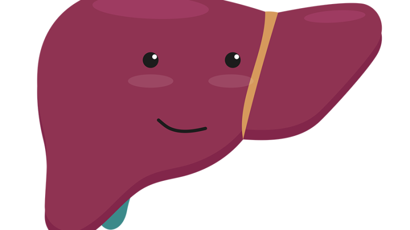 Illustration of a happy liver